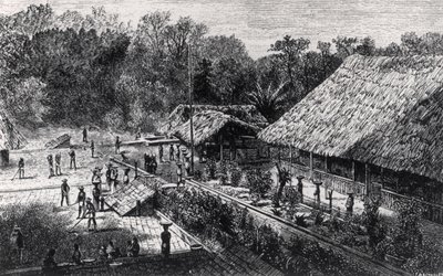 Workers on a Coffee Plantation by F.M. Reynolds